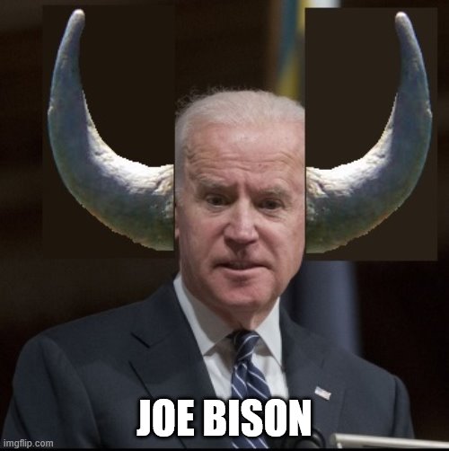 Twice as much bull as the original. | JOE BISON | image tagged in joe biden,politics,funny memes,election 2020,stupid people,trump 2020 | made w/ Imgflip meme maker