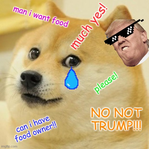 Doge Meme | man i want food; much yes! please! NO NOT TRUMP!!! can i have food owner!! | image tagged in memes,doge | made w/ Imgflip meme maker
