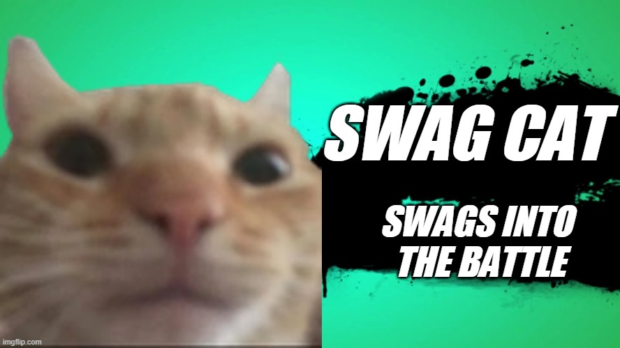 Swag B-) | SWAG CAT; SWAGS INTO 
THE BATTLE | image tagged in swag cat,super smash bros | made w/ Imgflip meme maker