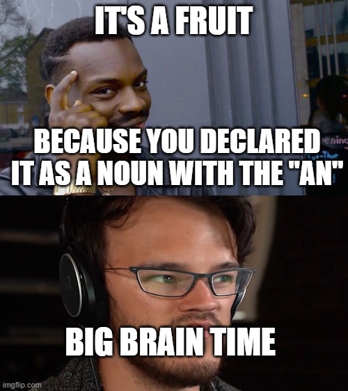 IT'S A FRUIT BECAUSE YOU DECLARED IT AS A NOUN WITH THE "AN" BIG BRAIN TIME | image tagged in memes,roll safe think about it | made w/ Imgflip meme maker