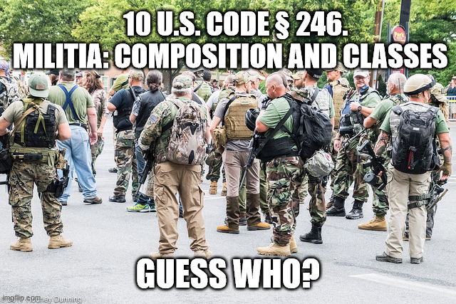 10 U.S. CODE § 246. MILITIA: COMPOSITION AND CLASSES; GUESS WHO? | image tagged in minutemen | made w/ Imgflip meme maker