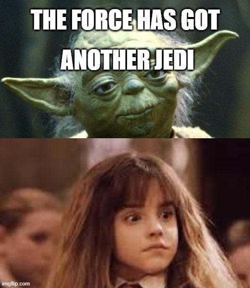 Another Jedi | ANOTHER JEDI; THE FORCE HAS GOT | image tagged in star wars,star wars yoda,harry potter,hermione granger,yoda | made w/ Imgflip meme maker