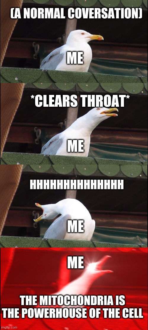 Inhaling Seagull | (A NORMAL COVERSATION); ME; *CLEARS THROAT*; ME; HHHHHHHHHHHHHH; ME; ME; THE MITOCHONDRIA IS THE POWERHOUSE OF THE CELL | image tagged in memes,inhaling seagull | made w/ Imgflip meme maker