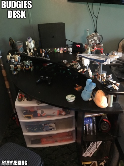 BUDGIES DESK; BUDGIEKING | made w/ Imgflip meme maker