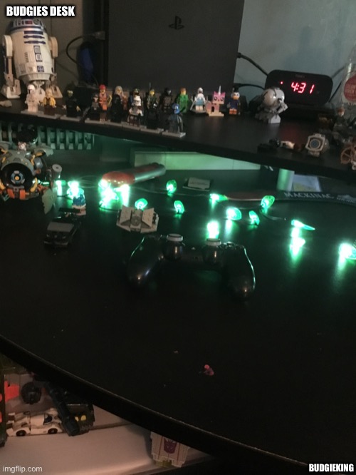 BUDGIES DESK; BUDGIEKING | made w/ Imgflip meme maker
