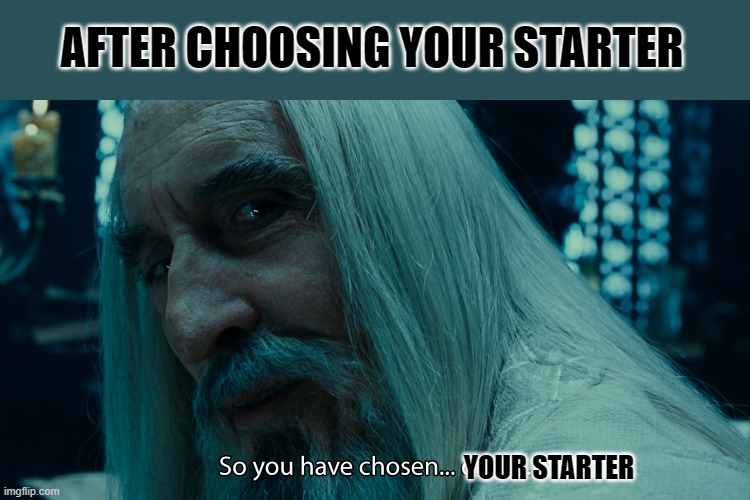 hardest choice in pokemon | AFTER CHOOSING YOUR STARTER; YOUR STARTER | image tagged in choose death,pokemon | made w/ Imgflip meme maker