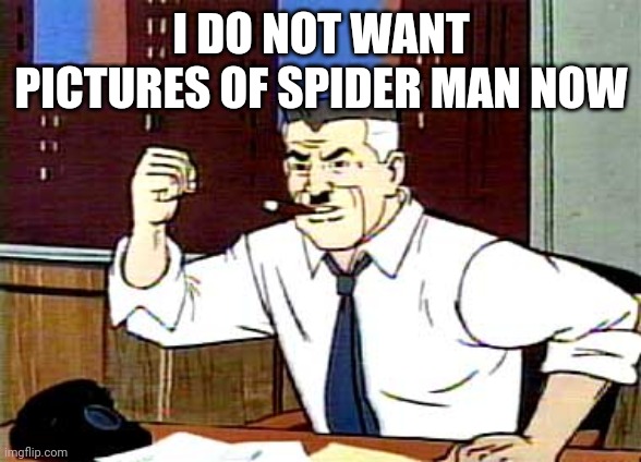 I WANT PICTURES OF SPIDERMAN | I DO NOT WANT PICTURES OF SPIDER MAN NOW | image tagged in i want pictures of spiderman | made w/ Imgflip meme maker