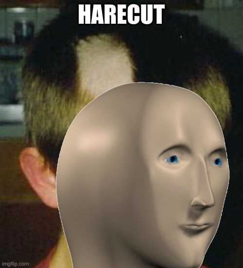 HARECUT | made w/ Imgflip meme maker