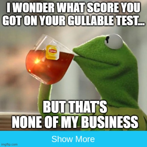 But That's None Of My Business | I WONDER WHAT SCORE YOU GOT ON YOUR GULLABLE TEST... BUT THAT'S NONE OF MY BUSINESS | image tagged in memes,but that's none of my business,kermit the frog | made w/ Imgflip meme maker