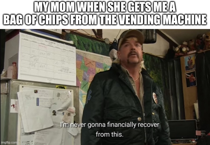 Meme War Wave #2 | MY MOM WHEN SHE GETS ME A BAG OF CHIPS FROM THE VENDING MACHINE | image tagged in im never gonna financially recover from this | made w/ Imgflip meme maker