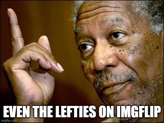 This Morgan Freeman | EVEN THE LEFTIES ON IMGFLIP | image tagged in this morgan freeman | made w/ Imgflip meme maker