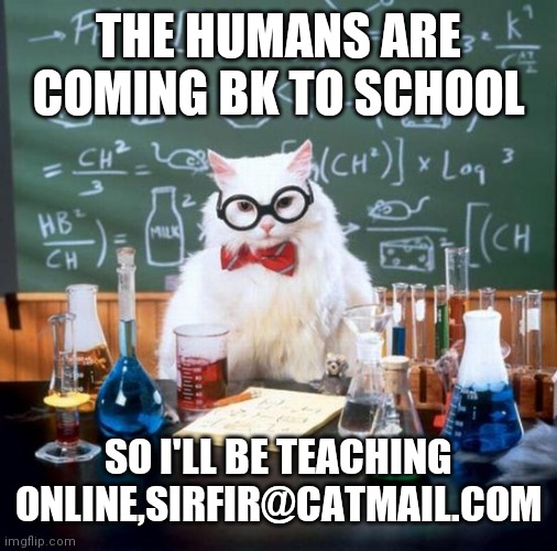 Chemistry Cat Meme | THE HUMANS ARE COMING BK TO SCHOOL; SO I'LL BE TEACHING ONLINE,SIRFIR@CATMAIL.COM | image tagged in memes,chemistry cat | made w/ Imgflip meme maker
