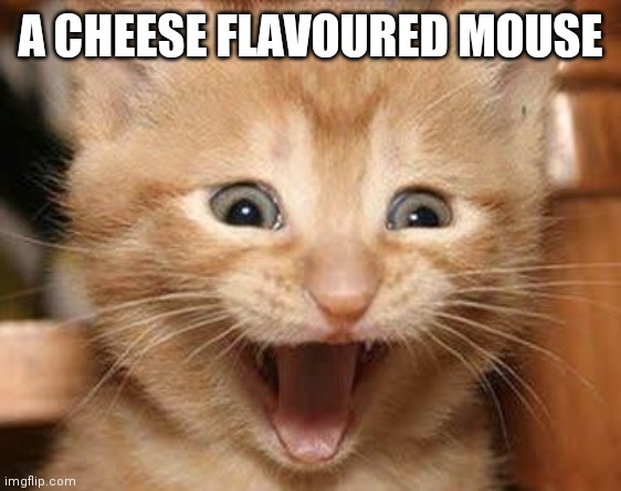 Excited Cat | A CHEESE FLAVOURED MOUSE | image tagged in memes,excited cat | made w/ Imgflip meme maker