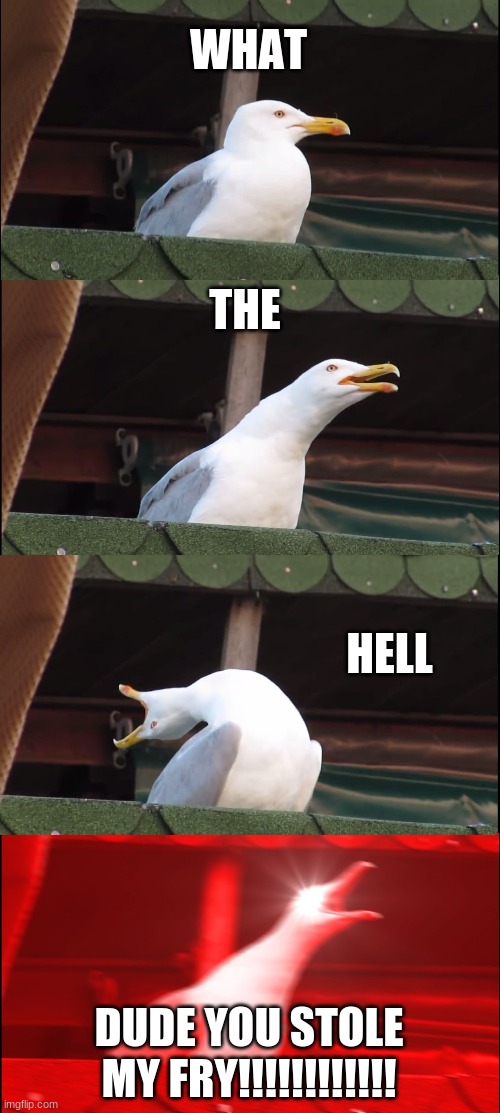 Inhaling Seagull Meme | WHAT; THE; HELL; DUDE YOU STOLE MY FRY!!!!!!!!!!!! | image tagged in memes,inhaling seagull | made w/ Imgflip meme maker