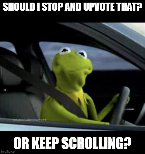 Kermit Driving | SHOULD I STOP AND UPVOTE THAT? OR KEEP SCROLLING? | image tagged in kermit driving | made w/ Imgflip meme maker