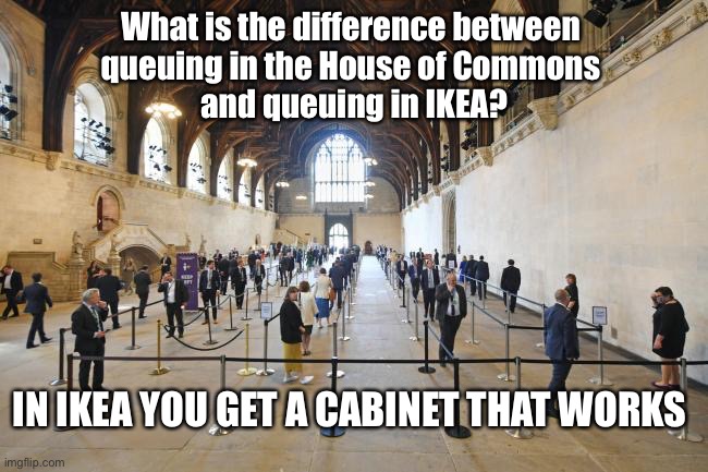 Q in Westminster hall | What is the difference between 
queuing in the House of Commons 
and queuing in IKEA? IN IKEA YOU GET A CABINET THAT WORKS | image tagged in q in westminster hall | made w/ Imgflip meme maker