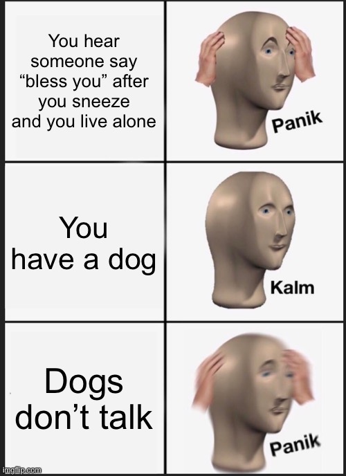 Dogs Don’t Talk | You hear someone say “bless you” after you sneeze and you live alone; You have a dog; Dogs don’t talk | image tagged in memes,panik kalm panik | made w/ Imgflip meme maker