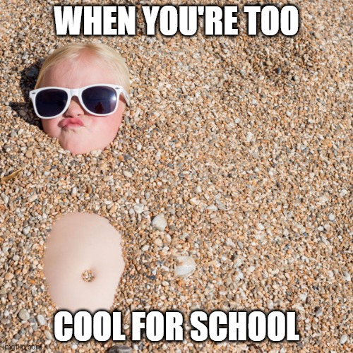 too cool for school | WHEN YOU'RE TOO; COOL FOR SCHOOL | image tagged in school | made w/ Imgflip meme maker