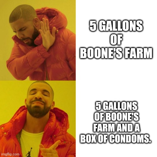 Drake Blank | 5 GALLONS OF BOONE'S FARM; 5 GALLONS OF BOONE'S FARM AND A BOX OF CONDOMS. | image tagged in drake blank | made w/ Imgflip meme maker