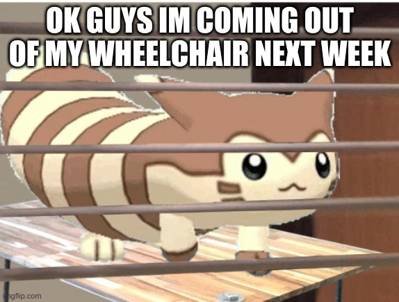 OK GUYS IM COMING OUT OF MY WHEELCHAIR NEXT WEEK | made w/ Imgflip meme maker