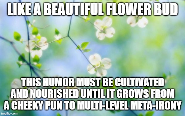 flowers | LIKE A BEAUTIFUL FLOWER BUD THIS HUMOR MUST BE CULTIVATED AND NOURISHED UNTIL IT GROWS FROM A CHEEKY PUN TO MULTI-LEVEL META-IRONY | image tagged in flowers | made w/ Imgflip meme maker