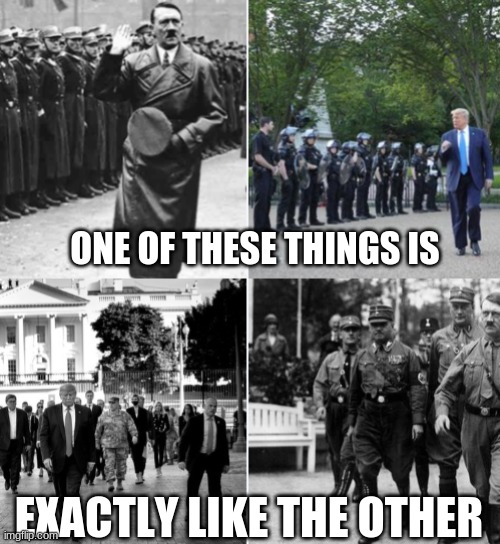Dictators gotta dictate | ONE OF THESE THINGS IS; EXACTLY LIKE THE OTHER | image tagged in trump hitler,trump,hitler,riots | made w/ Imgflip meme maker
