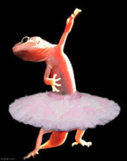 oh its beautiful | image tagged in lizard ballet | made w/ Imgflip meme maker