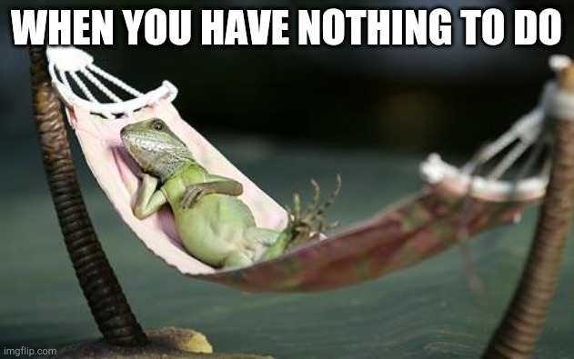 Sleepy lizard | WHEN YOU HAVE NOTHING TO DO | image tagged in sleepy lizard | made w/ Imgflip meme maker