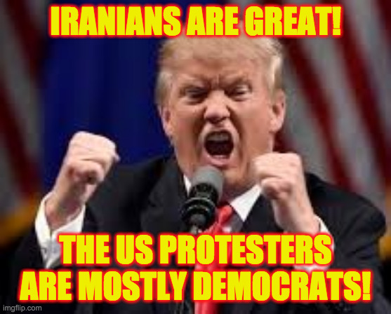 Trump angry punch | IRANIANS ARE GREAT! THE US PROTESTERS ARE MOSTLY DEMOCRATS! | image tagged in trump angry punch | made w/ Imgflip meme maker