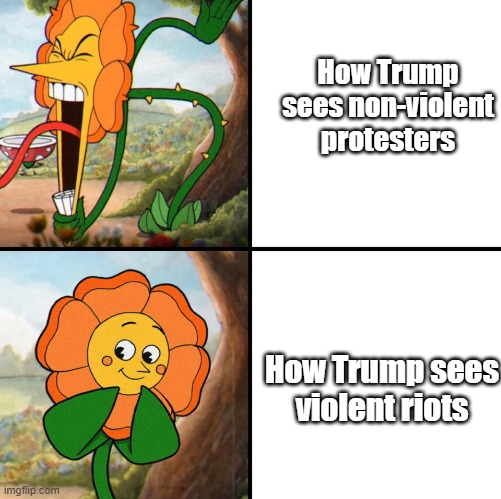 Its upsetting | How Trump sees non-violent protesters; How Trump sees violent riots | image tagged in angry flower | made w/ Imgflip meme maker