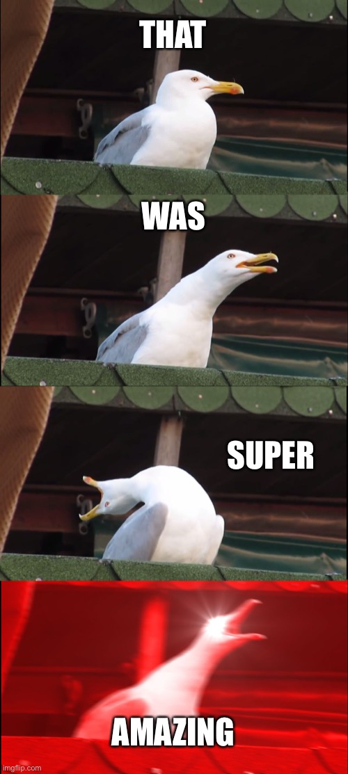 Inhaling Seagull Meme | THAT WAS SUPER AMAZING | image tagged in memes,inhaling seagull | made w/ Imgflip meme maker