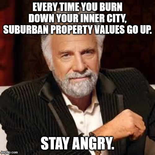 Dos Equis Guy Awesome | EVERY TIME YOU BURN DOWN YOUR INNER CITY, SUBURBAN PROPERTY VALUES GO UP. STAY ANGRY. | image tagged in dos equis guy awesome | made w/ Imgflip meme maker