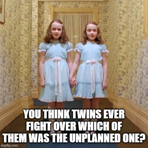 You Were the Accident | YOU THINK TWINS EVER FIGHT OVER WHICH OF THEM WAS THE UNPLANNED ONE? | image tagged in twins from the shining | made w/ Imgflip meme maker