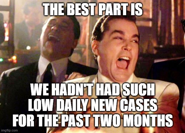 Goodfellas Laugh | THE BEST PART IS WE HADN'T HAD SUCH LOW DAILY NEW CASES FOR THE PAST TWO MONTHS | image tagged in goodfellas laugh | made w/ Imgflip meme maker