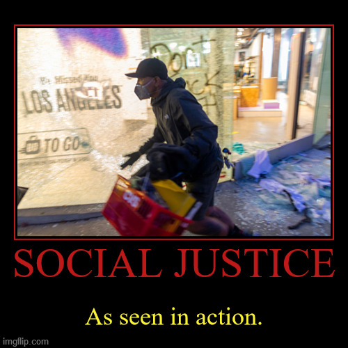 image tagged in demotivationals,social justice,riot,looting,protest,you're doing it wrong | made w/ Imgflip demotivational maker