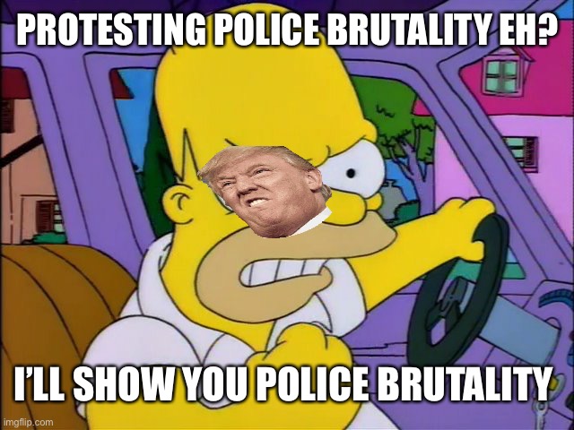 I’ll give you something to cry about | PROTESTING POLICE BRUTALITY EH? I’LL SHOW YOU POLICE BRUTALITY | image tagged in threatening homer,trump,donald trump,black lives matter,protests,police brutality | made w/ Imgflip meme maker