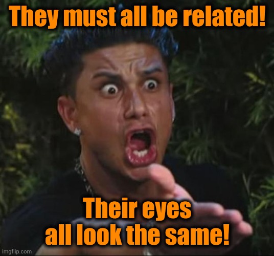 DJ Pauly D Meme | They must all be related! Their eyes all look the same! | image tagged in memes,dj pauly d | made w/ Imgflip meme maker