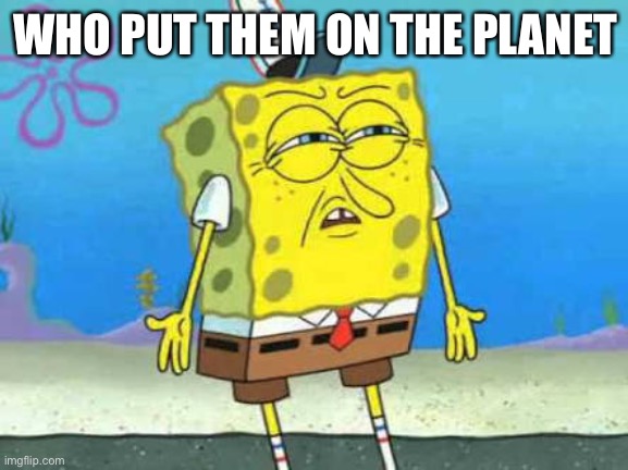 Who put you on the planet | WHO PUT THEM ON THE PLANET | image tagged in who put you on the planet | made w/ Imgflip meme maker