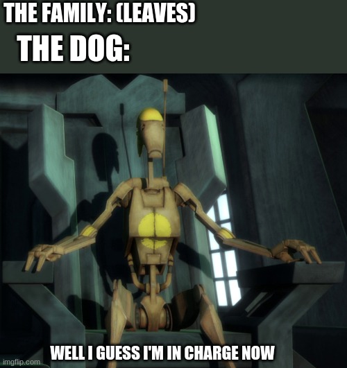 Well I guess I'm in charge now | THE FAMILY: (LEAVES); THE DOG:; WELL I GUESS I'M IN CHARGE NOW | image tagged in well i guess i'm in charge now | made w/ Imgflip meme maker