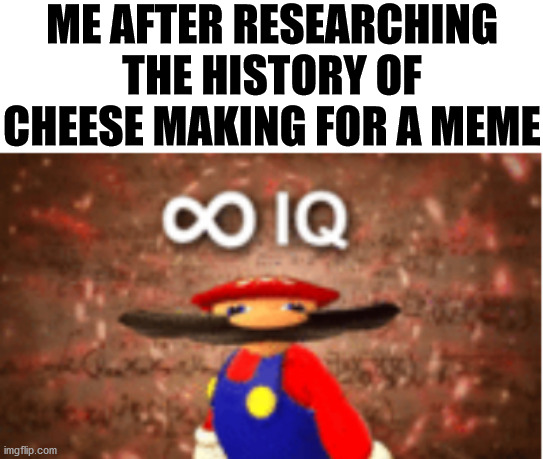 Very smart | ME AFTER RESEARCHING THE HISTORY OF CHEESE MAKING FOR A MEME | image tagged in infinite iq,memes,smart,cheese | made w/ Imgflip meme maker