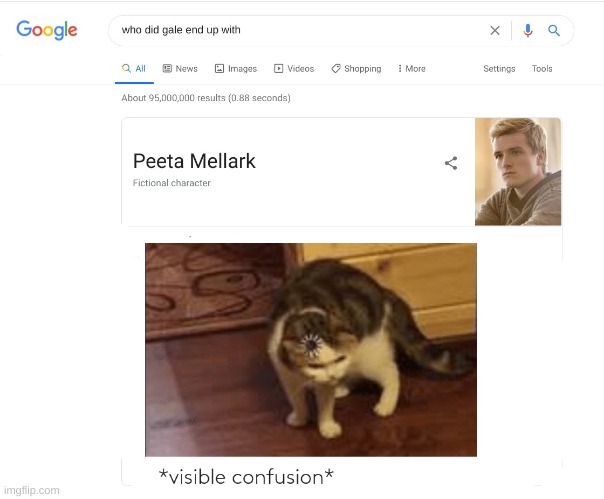 Wait a minute | image tagged in visible confusion,hunger games | made w/ Imgflip meme maker