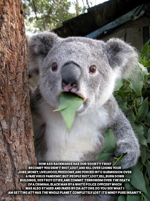 Surprised Koala | HOW ASS BACKWARDS HAS OUR SOCIETY TRULY BECOME? YOU DIDN'T RIOT,LOOT,AND KILL OVER LOSING YOUR JOBS,MONEY, LIVELIHOOD,FREEDOMS,AND FORCED INTO SUBMISSION OVER A FAKE VIRUS PANDEMIC.BUT PEOPLE RIOT,LOOT,KILL,BURN DOWN BUILDINGS, DESTROY CITIES,AND COMMIT TERRORISM OVER THE DEATH OF A CRIMINAL BLACK MAN BY A WHITE POLICE OFFICER? WHICH WAS ALSO STAGED AND FAKED BY CIA ACTORS.DO YOU SEE WHAT I AM GETTING AT? HAS THE WHOLE PLANET COMPLETELY LOST ITS MIND? PURE INSANITY. | image tagged in memes,surprised koala | made w/ Imgflip meme maker