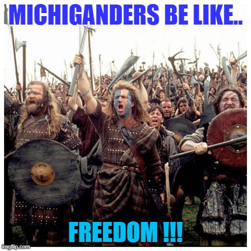 Michigander freedom | MICHIGANDERS BE LIKE.. FREEDOM !!! | image tagged in braveheart freedom | made w/ Imgflip meme maker