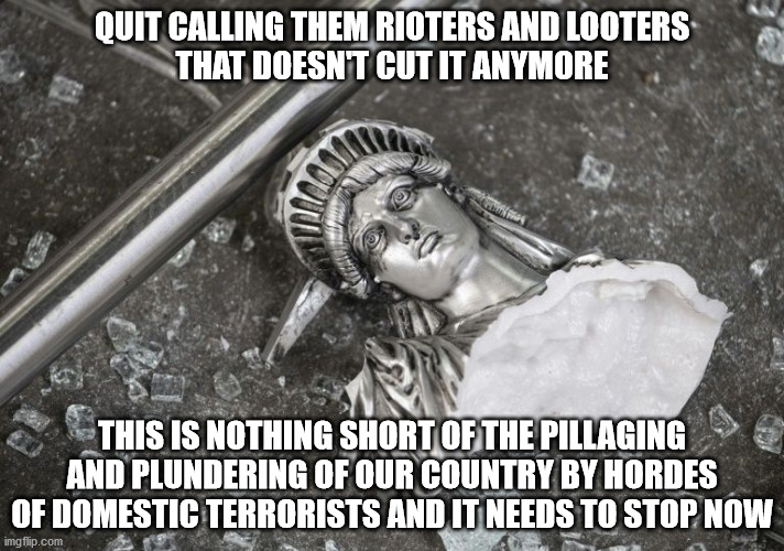 It's time for it to stop | QUIT CALLING THEM RIOTERS AND LOOTERS
THAT DOESN'T CUT IT ANYMORE; THIS IS NOTHING SHORT OF THE PILLAGING AND PLUNDERING OF OUR COUNTRY BY HORDES OF DOMESTIC TERRORISTS AND IT NEEDS TO STOP NOW | image tagged in pillage,plunder | made w/ Imgflip meme maker