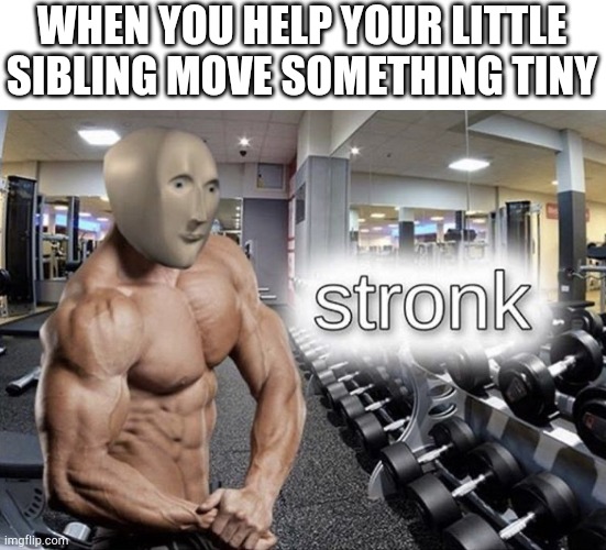 Siblings | WHEN YOU HELP YOUR LITTLE SIBLING MOVE SOMETHING TINY | image tagged in meme man stronk | made w/ Imgflip meme maker