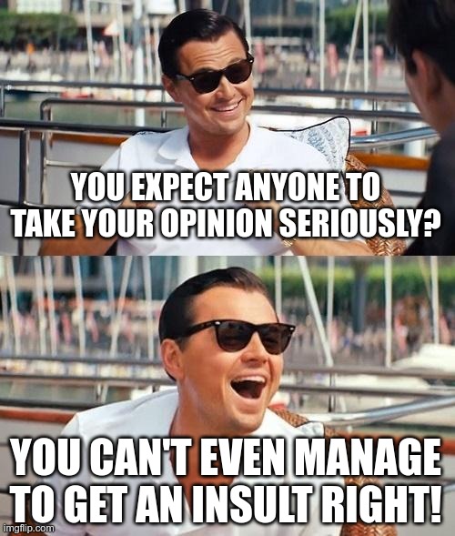 Leonardo Dicaprio Wolf Of Wall Street Meme | YOU EXPECT ANYONE TO TAKE YOUR OPINION SERIOUSLY? YOU CAN'T EVEN MANAGE TO GET AN INSULT RIGHT! | image tagged in memes,leonardo dicaprio wolf of wall street | made w/ Imgflip meme maker