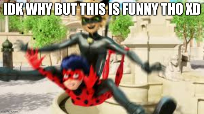 Cat noir jumping on ladybug | IDK WHY BUT THIS IS FUNNY THO XD | image tagged in cat noir jumping on ladybug | made w/ Imgflip meme maker