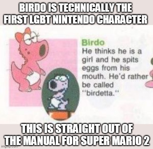 I WONDER IF YOSHI IS ACTUALLY A GIRL | BIRDO IS TECHNICALLY THE FIRST LGBT NINTENDO CHARACTER; THIS IS STRAIGHT OUT OF THE MANUAL FOR SUPER MARIO 2 | image tagged in super mario bros,nintendo,lgbt | made w/ Imgflip meme maker