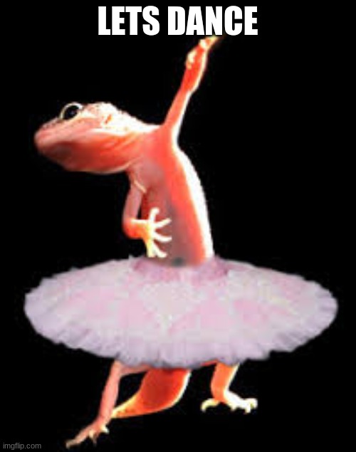 Lizard Ballet | LETS DANCE | image tagged in lizard ballet | made w/ Imgflip meme maker