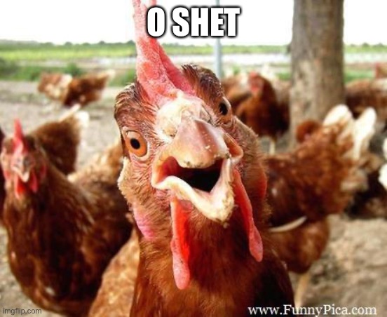 Chicken | O SHET | image tagged in chicken | made w/ Imgflip meme maker